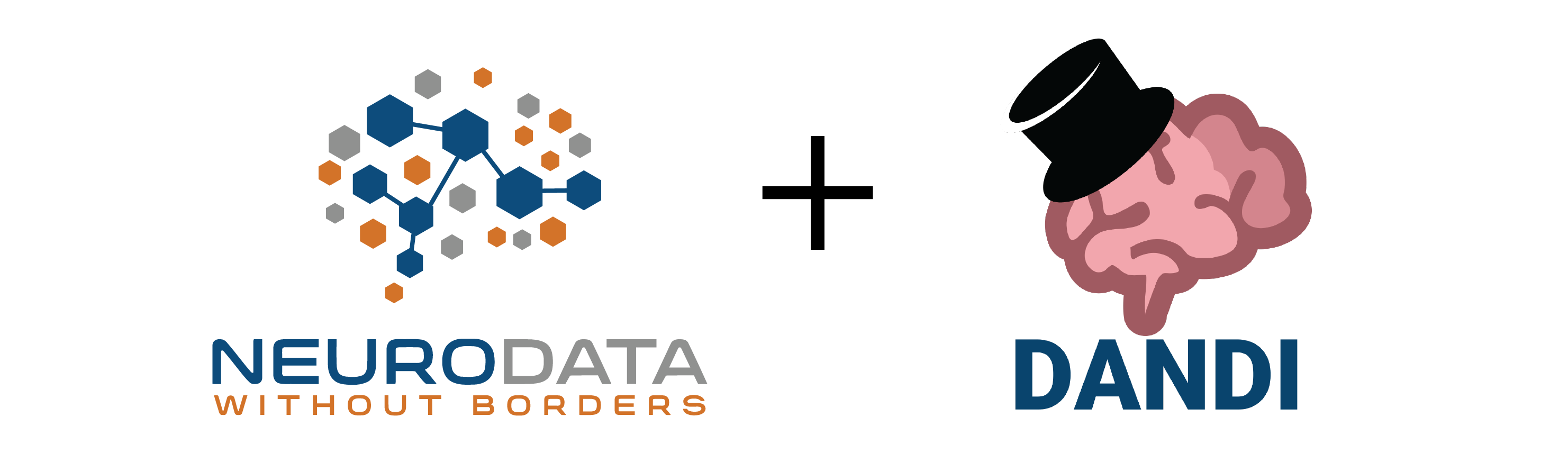 NWB and DANDI Workshop at Johns Hopkins University